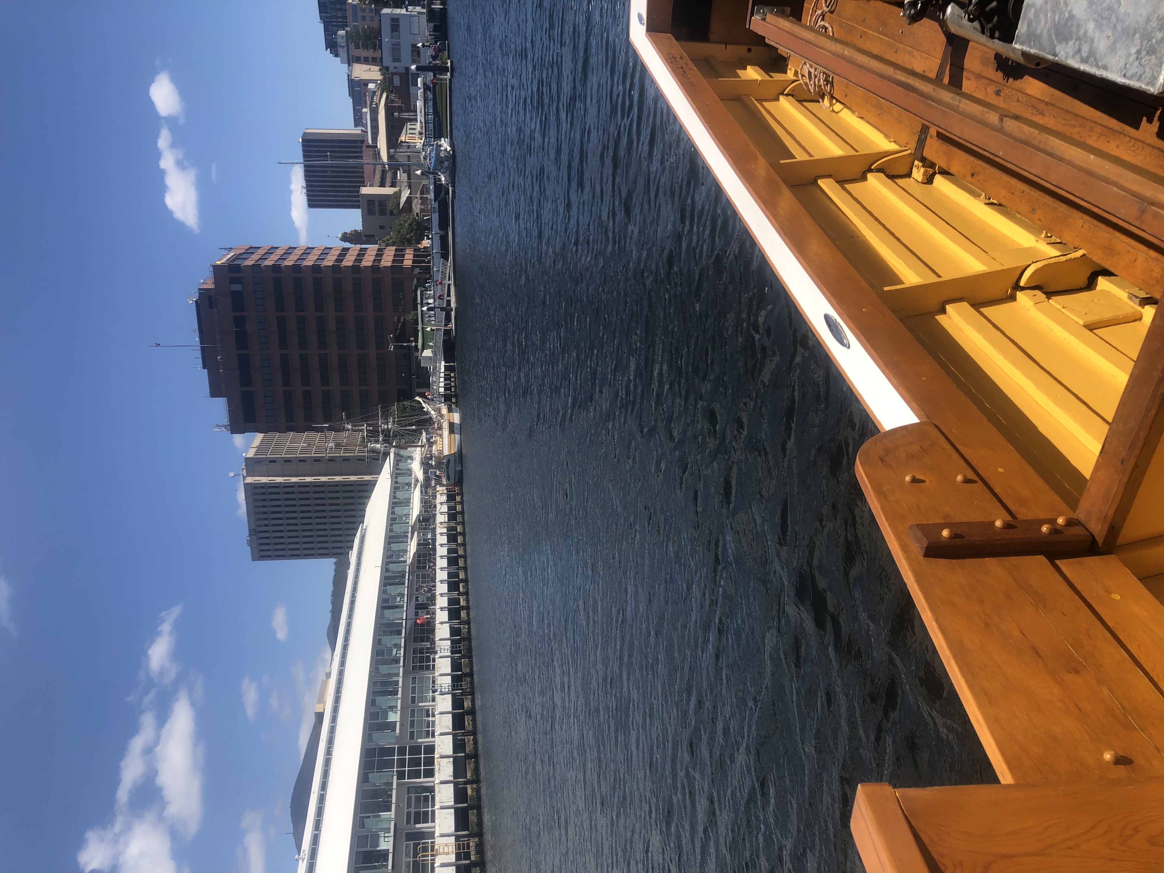 IMG_5315.jpeg