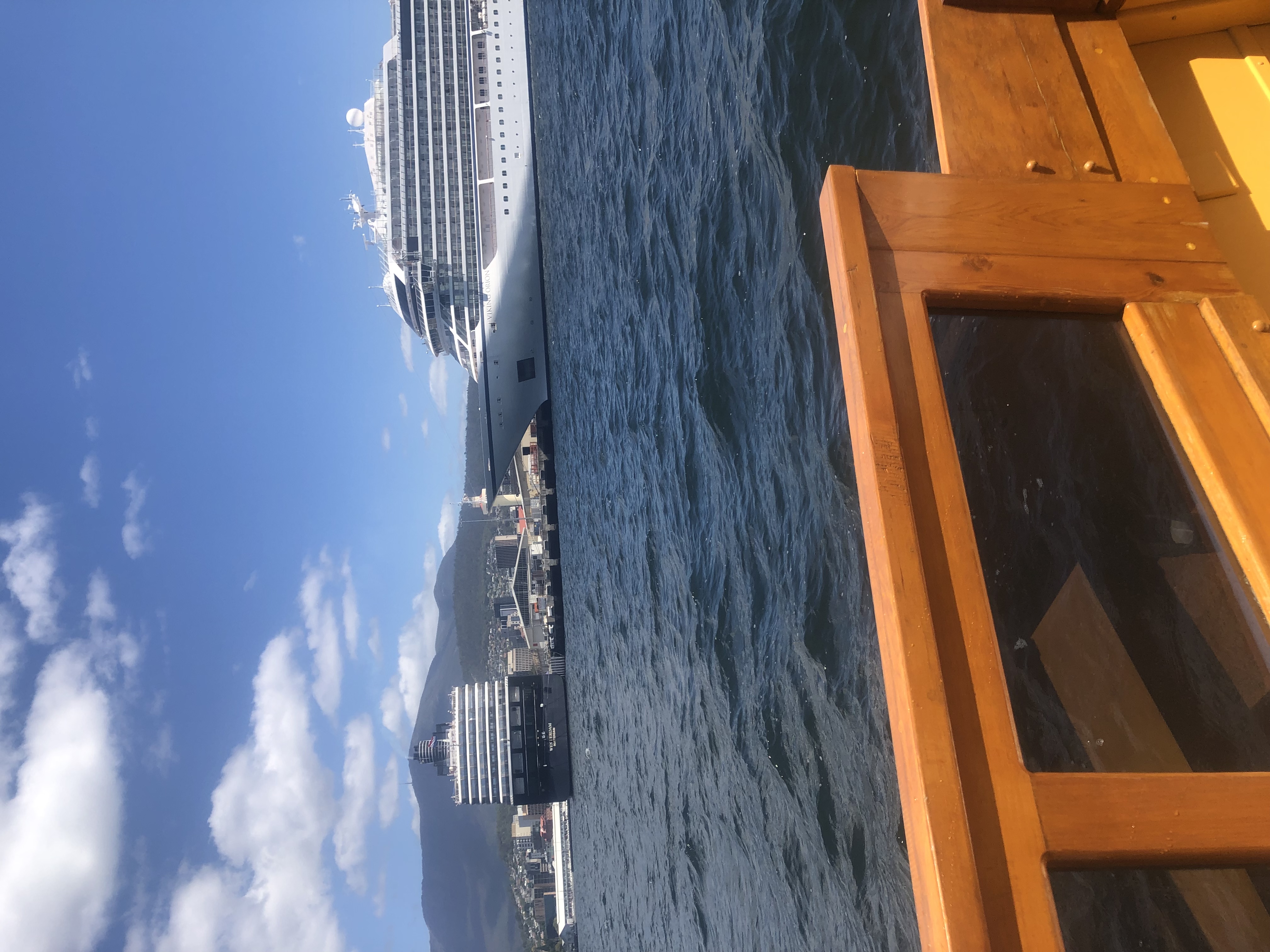 IMG_5313.jpeg