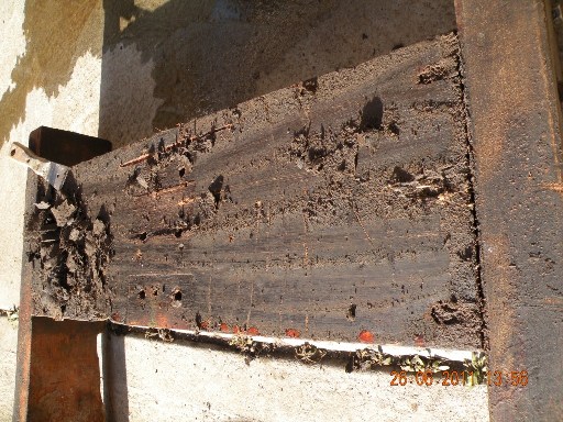 torea restoration 004.jpg
